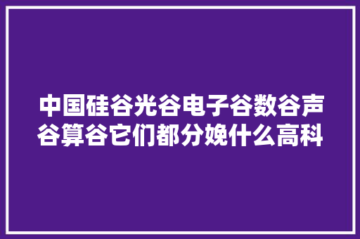 中国硅谷光谷电子谷数谷声谷算谷它们都分娩什么高科技产品呢？