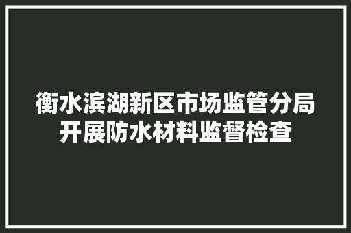 衡水滨湖新区市场监管分局开展防水材料监督检查