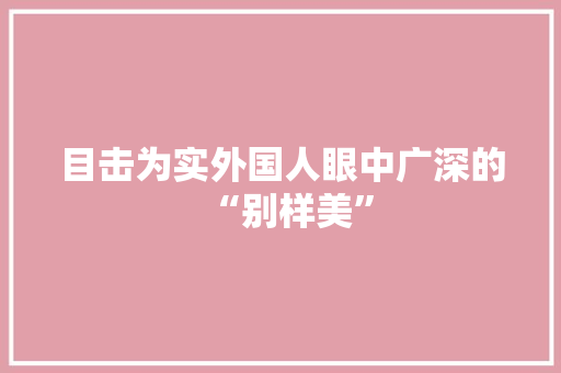 目击为实外国人眼中广深的“别样美”