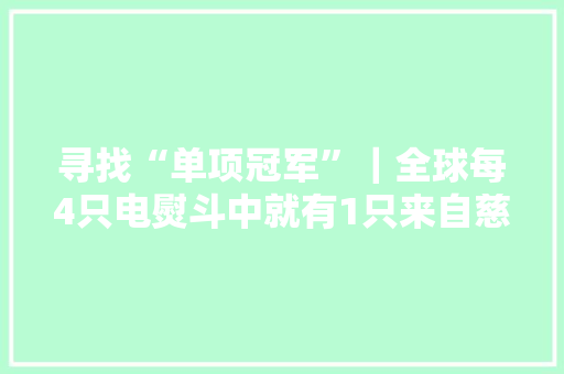 寻找“单项冠军”｜全球每4只电熨斗中就有1只来自慈溪卓力 寻找“单项冠军”｜全球每4只电熨斗中就有1只来自慈溪卓力 人工智能