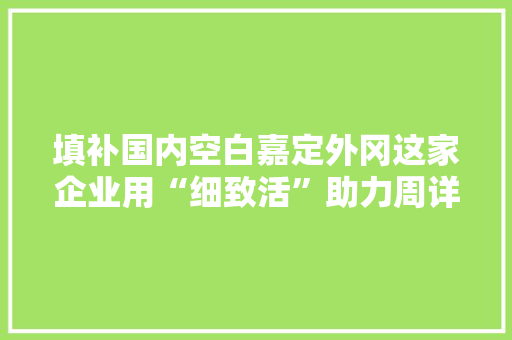 填补国内空白嘉定外冈这家企业用“细致活”助力周详制造