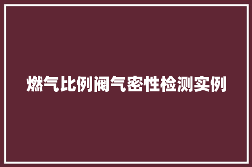燃气比例阀气密性检测实例