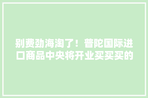 别费劲海淘了！普陀国际进口商品中央将开业买买买的亲们快看！
