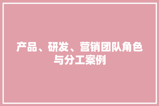 产品、研发、营销团队角色与分工案例