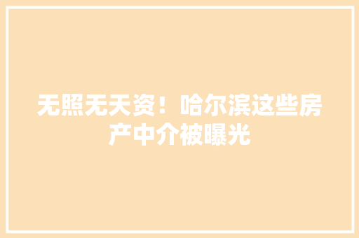 无照无天资！哈尔滨这些房产中介被曝光