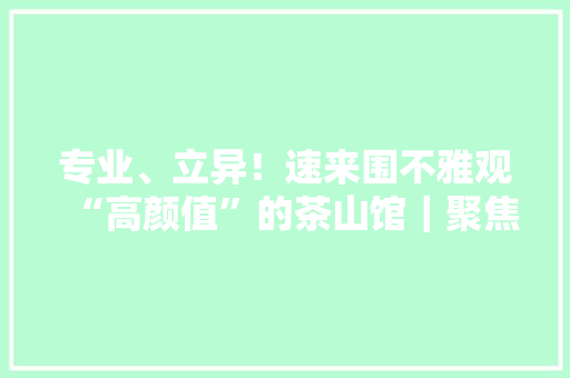 专业、立异！速来围不雅观“高颜值”的茶山馆｜聚焦台博会㉜