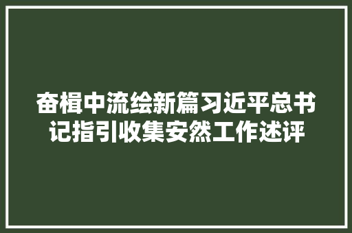 奋楫中流绘新篇习近平总书记指引收集安然工作述评