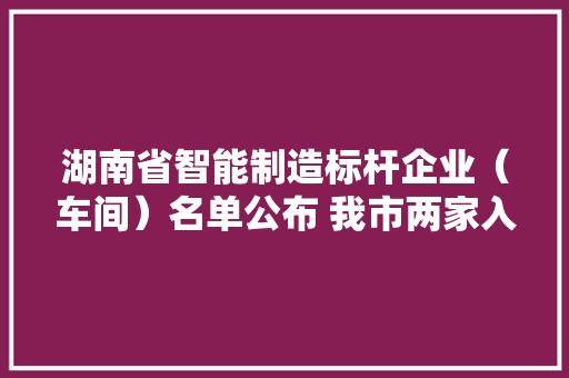 湖南省智能制造标杆企业（车间）名单公布 我市两家入选