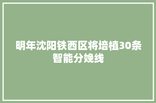 明年沈阳铁西区将培植30条智能分娩线