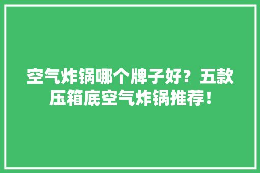 空气炸锅哪个牌子好？五款压箱底空气炸锅推荐！ 空气炸锅哪个牌子好？五款压箱底空气炸锅推荐！ 人工智能