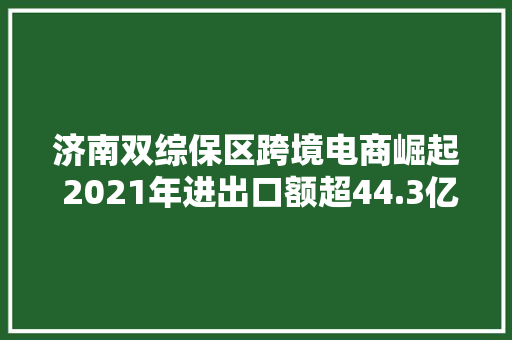 济南双综保区跨境电商崛起 2021年进出口额超44.3亿元