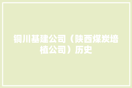 铜川基建公司（陕西煤炭培植公司）历史 铜川基建公司（陕西煤炭培植公司）历史 人工智能