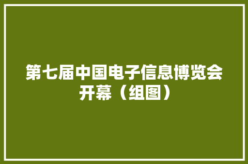 第七届中国电子信息博览会开幕（组图）