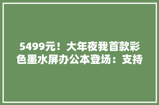 5499元！大年夜我首款彩色墨水屏办公本登场：支持播放动画、视频