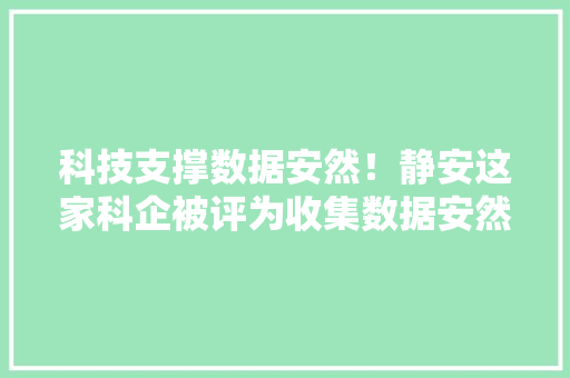 科技支撑数据安然！静安这家科企被评为收集数据安然风险评估试点工作优秀单位