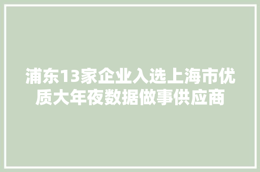 浦东13家企业入选上海市优质大年夜数据做事供应商