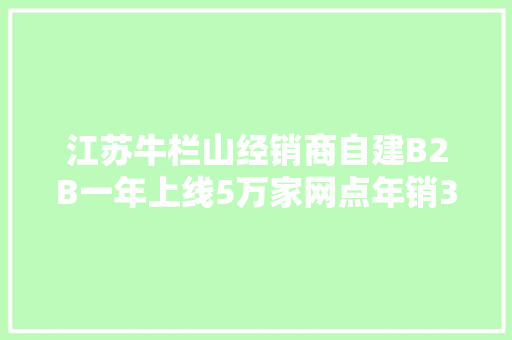 江苏牛栏山经销商自建B2B一年上线5万家网点年销3亿！