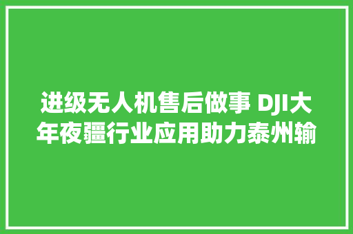 进级无人机售后做事 DJI大年夜疆行业应用助力泰州输电智能化运检