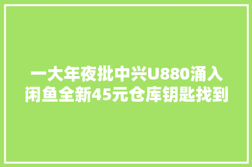 一大年夜批中兴U880涌入闲鱼全新45元仓库钥匙找到了？