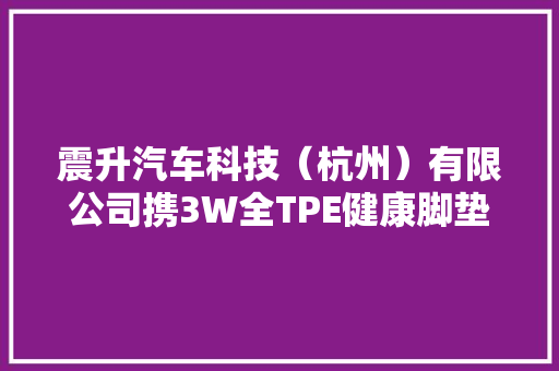 震升汽车科技（杭州）有限公司携3W全TPE健康脚垫参展20届郑州展