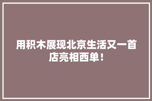用积木展现北京生活又一首店亮相西单！