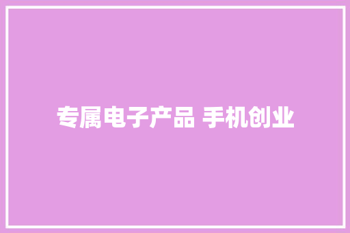 专属电子产品 手机创业