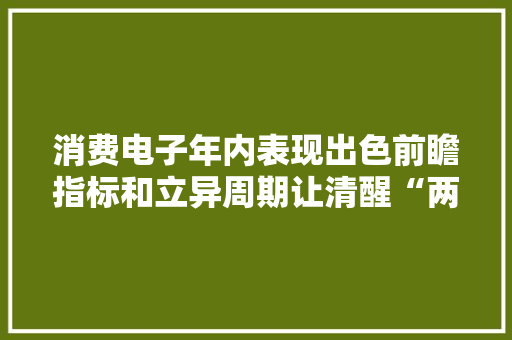 消费电子年内表现出色前瞻指标和立异周期让清醒“两翼齐飞”
