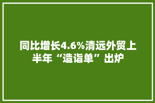 同比增长4.6%清远外贸上半年“造诣单”出炉