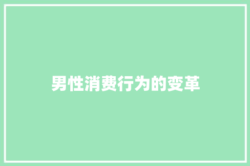 男性消费行为的变革