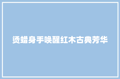 烫蜡身手唤醒红木古典芳华 烫蜡身手唤醒红木古典芳华 智能家居