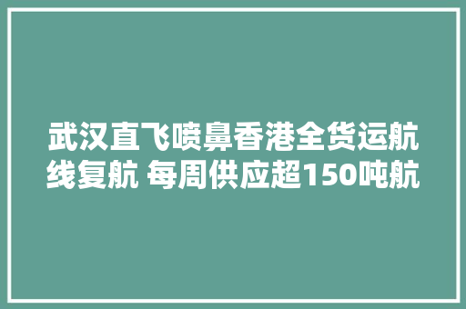 武汉直飞喷鼻香港全货运航线复航 每周供应超150吨航空运力 武汉直飞喷鼻香港全货运航线复航 每周供应超150吨航空运力 人工智能