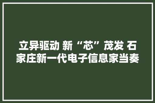 立异驱动 新“芯”茂发 石家庄新一代电子信息家当奏响高质量成长“奋进曲”