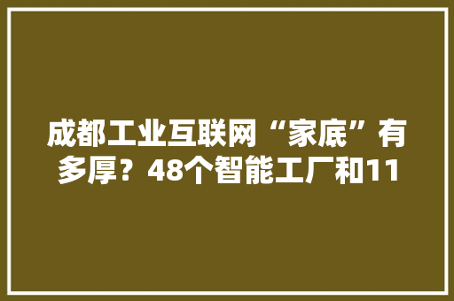成都工业互联网“家底”有多厚？48个智能工厂和110个数字化车间亮相 成都工业互联网“家底”有多厚？48个智能工厂和110个数字化车间亮相 智能家居