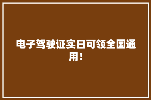 电子驾驶证实日可领全国通用！