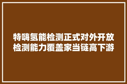 特嗨氢能检测正式对外开放检测能力覆盖家当链高下游丨最前哨