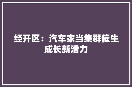经开区：汽车家当集群催生成长新活力