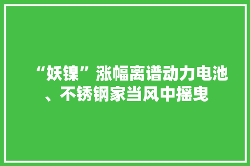 “妖镍”涨幅离谱动力电池、不锈钢家当风中摇曳