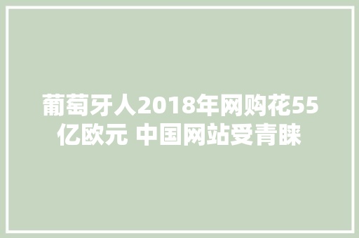 葡萄牙人2018年网购花55亿欧元 中国网站受青睐 葡萄牙人2018年网购花55亿欧元 中国网站受青睐 智能科技
