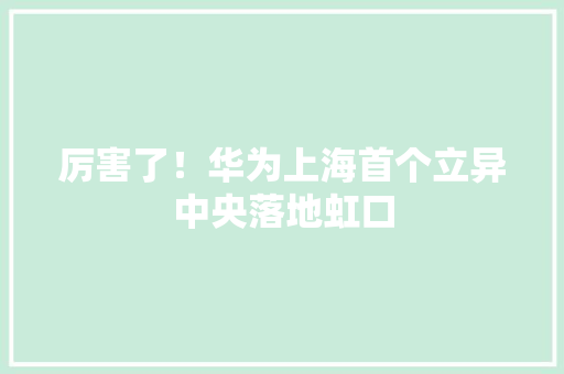 厉害了！华为上海首个立异中央落地虹口 厉害了！华为上海首个立异中央落地虹口 人工智能