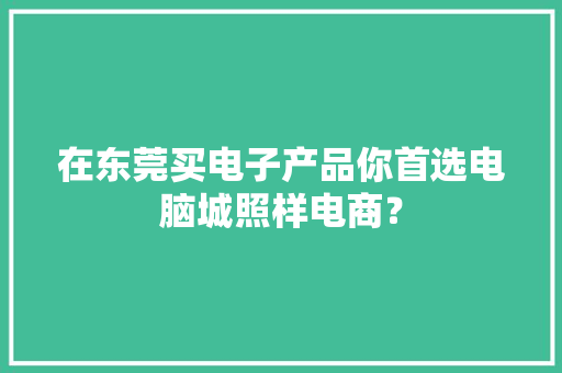 在东莞买电子产品你首选电脑城照样电商？