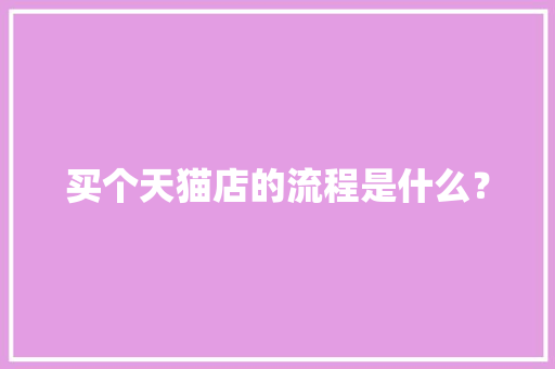 买个天猫店的流程是什么？