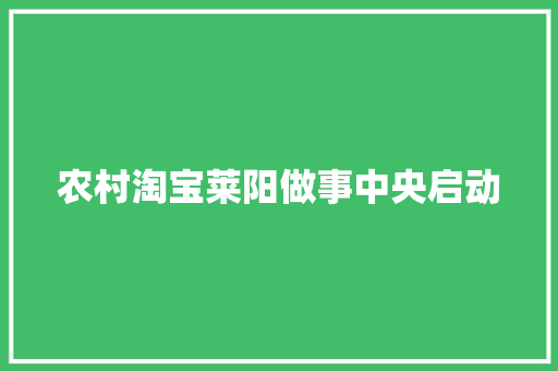 农村淘宝莱阳做事中央启动