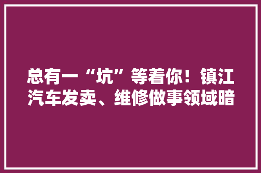 总有一“坑”等着你！镇江汽车发卖、维修做事领域暗访惊心动魄