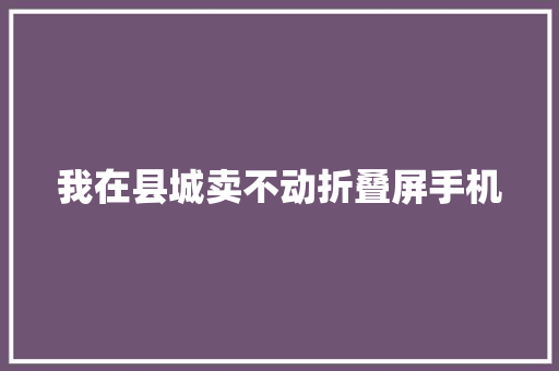 我在县城卖不动折叠屏手机 我在县城卖不动折叠屏手机 智能家居
