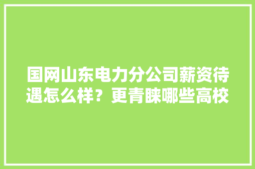 国网山东电力分公司薪资待遇怎么样？更青睐哪些高校卒业生纯干货