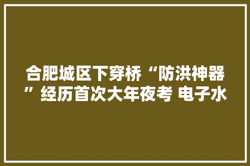合肥城区下穿桥“防洪神器”经历首次大年夜考 电子水尺、爆闪灯登场 合肥城区下穿桥“防洪神器”经历首次大年夜考 电子水尺、爆闪灯登场 人工智能