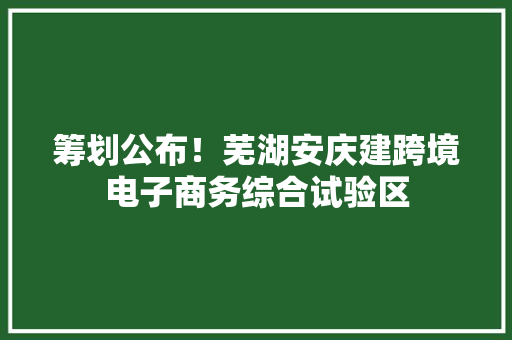 筹划公布！芜湖安庆建跨境电子商务综合试验区