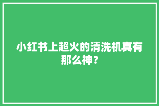 小红书上超火的清洗机真有那么神？