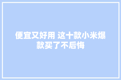 便宜又好用 这十款小米爆款买了不后悔