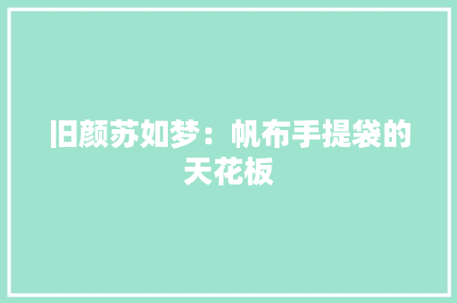 旧颜苏如梦：帆布手提袋的天花板 旧颜苏如梦：帆布手提袋的天花板 智能家居